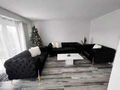 Black Velvet Sofa Set, View more