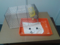 baby hamster cage