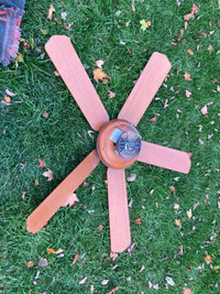 Large Ceiling Fan