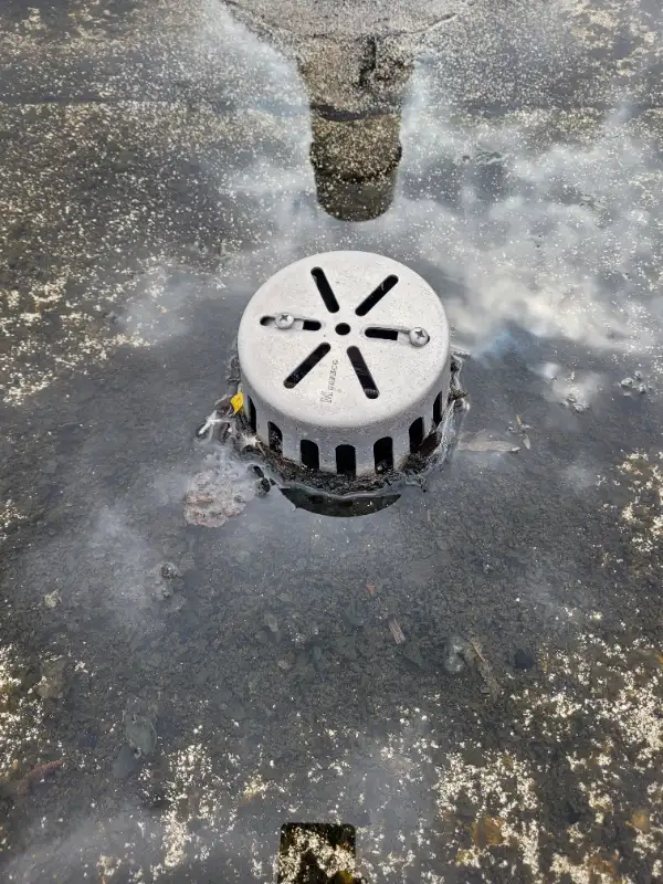 ROOF REPAIR PATCH EMERGENCY WATER LEAK INFILTRATION ROOFER62863719007747123