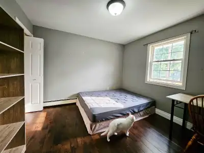 Room on main floor near UPEI, for rent on month-to-month basis, for female only, available now. Conv...