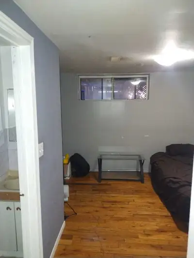 Large spacious basement room for rent with ensuite bathroom and small kitchenette area for light coo...