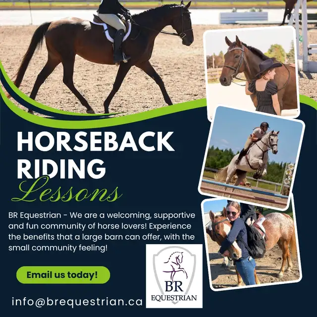 Horseback Riding Lessons! 65065475921795120