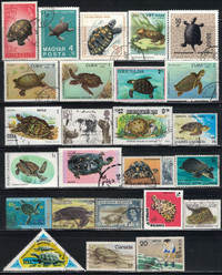 Turtle Stamps, 25 Different