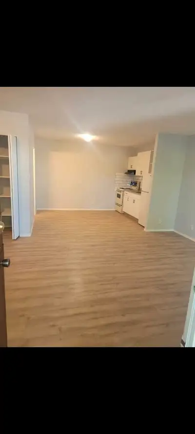 Large Bachelor Apartments $1200