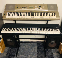 Digital Grand Piano and Keyboard With Stand