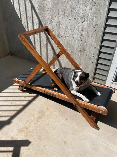Dog Treadmill $450 OBO, View more