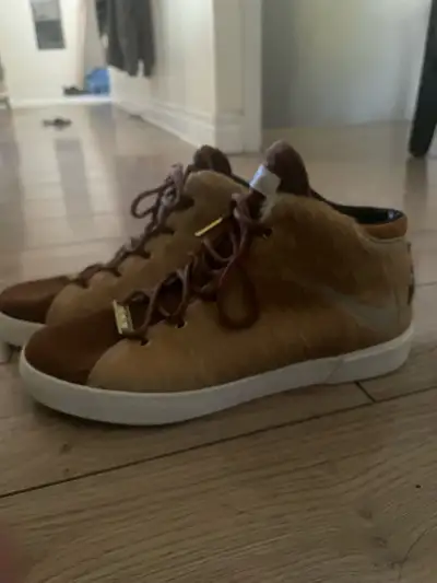 LeBron 12 NSW Lion's Mane Nike Shoes, View more