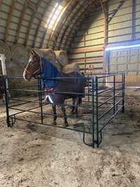 Livestock panels for sale 
