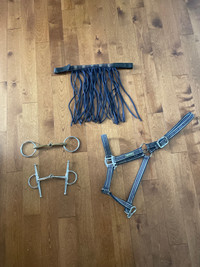 Horse halter, bits and fly mask 