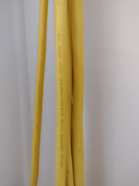 100 foot (12A WG) industrial electrical cord
