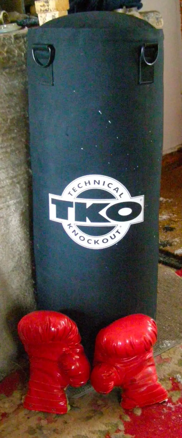 Boxing MMA Martial Arts Punching Bag & Gloves in Exercise Equipment in Ottawa - Image 3