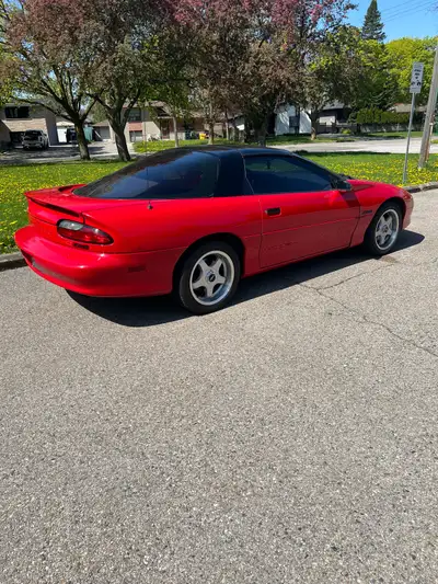 1995 Chevrolet Camaro Z28 2nd owner vehicle where first owner (lady driven) had the vehicle for 19 y...