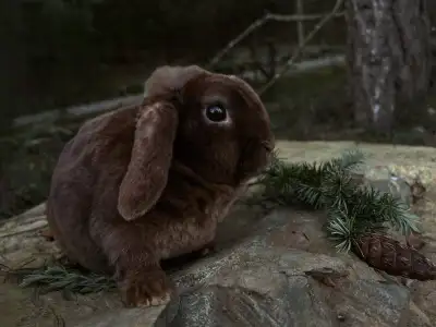 * Rare Mini Plush Lop Bunny *, View more