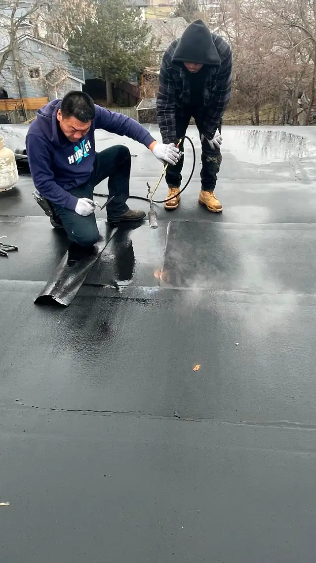 Mississuaga&Brampton Fast Roofing&Eavestrough Replacement&Fix59+414906400051056642