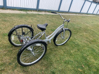 Adult 3 wheel bike