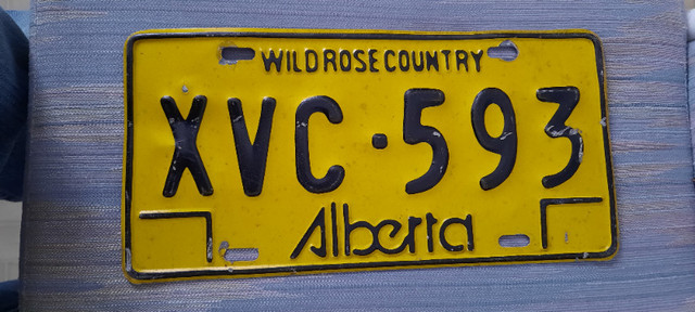 Alberta License Plate in Other in Kitchener / Waterloo