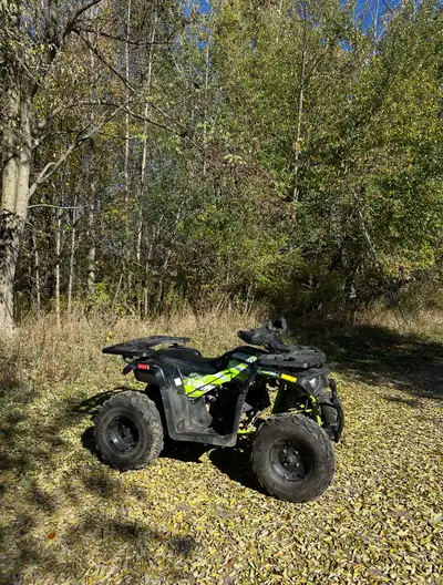 Full Size adult ATV 200cc 500km