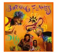 DigBurning Flames (Artist)  Format: Audio CD