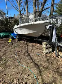 Boat, 70hp Johnson and trailer!