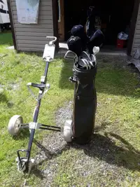 Baton de golf homme