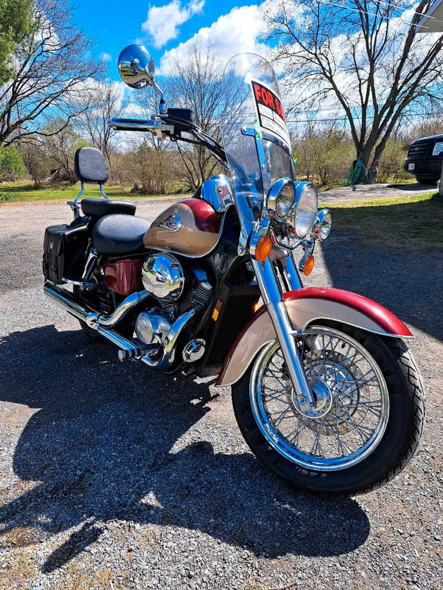 2000 Honda Shadow  in Street, Cruisers & Choppers in Kingston - Image 3