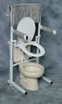 Power Toilet Aid