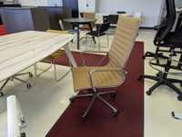 Brown Executive Seating - Multi Purpose Chair