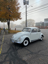 1963 Volkswagen 