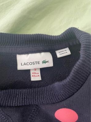 Girl Lacoste sweater 4T in Clothing - 4T in Edmonton - Image 2