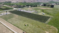 1901 Stewart Rd, Cawston, BC - 5 acres