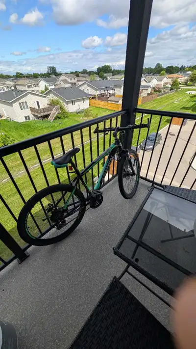 bike ( needs tune up), View more