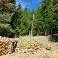 Dry Birch Firewood
