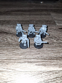 Warhammer 40k imperial guard unpainted Temptust scions 