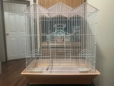 Bird Cage , View more