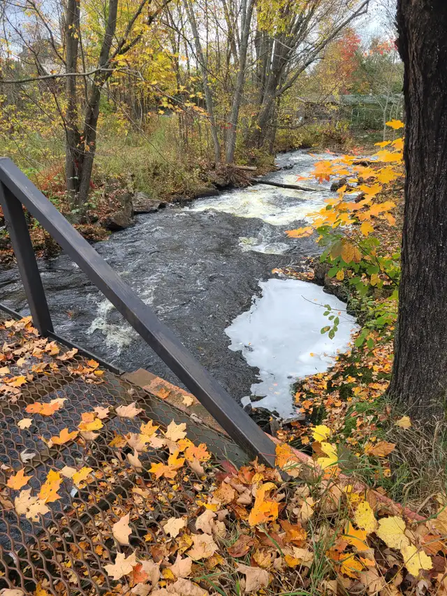 Waterfront lot Residential zone acres of land in Land for Sale in Ottawa - Image 7