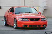 2003-2004 ford mustang SVT cobra