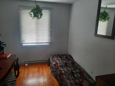 CHAMBRE A LOUER EN COLOCATION Situé à Montréal-Nord sur la rue De Castille, près de Lacordaire. Tout...