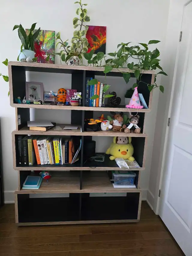 bookcase484083657888901121