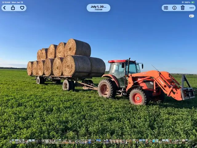 1st Cut Alfalfa round bales in Other in Portage la Prairie - Image 2