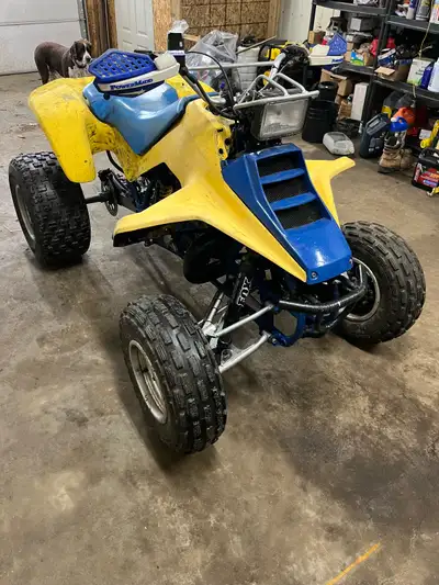 1991 Suzuki quad racer LT250r 2 stroke these bike are getting extremely hard to find bike runs amazi...