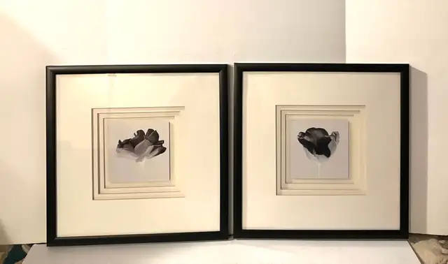 Framed Wall Art abstract floral set of two pef