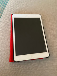 iPad mini with case 