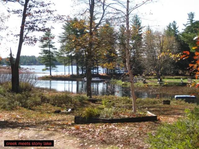 Stony Lake Cottage in Ontario in Canada - Image 5