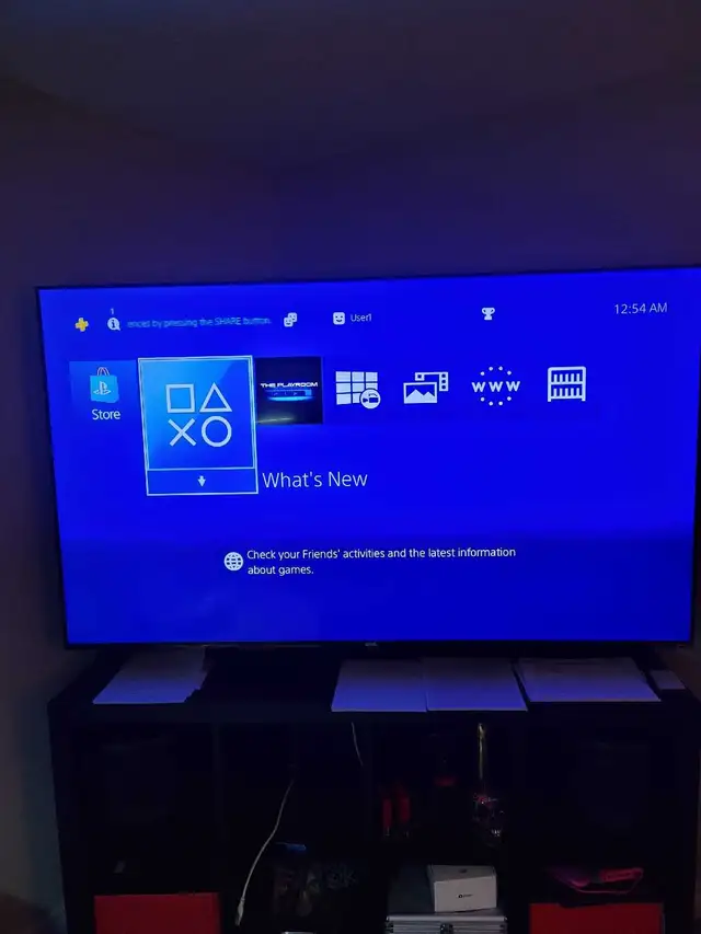 Playstation 4 bundle 552492894478684162