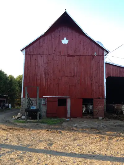 Custom farm painting driveway sealing hot pour rubber grain bin base sealing deck refinishing metal...