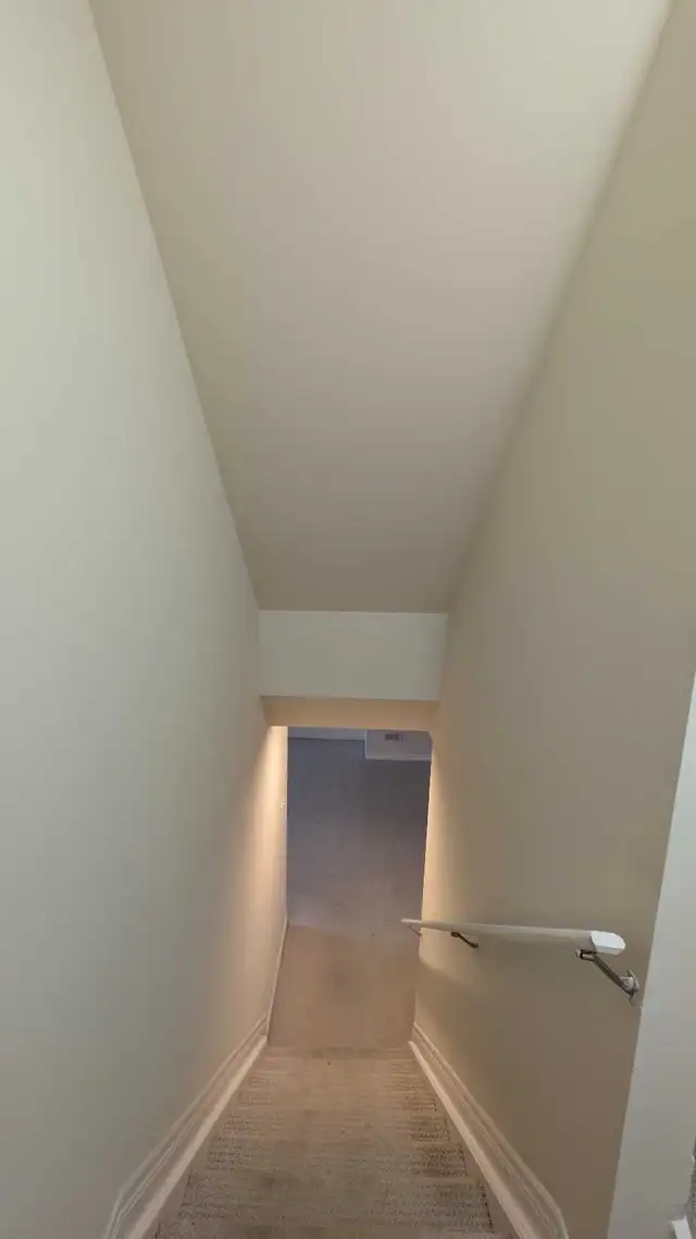 Painter, construction525303516664309762