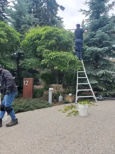 Hiring Gardeners, View more