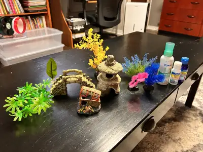Fish tank accessories and supplies , View more