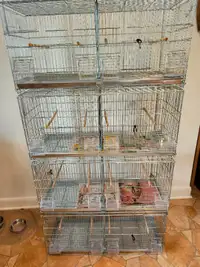 Cages d'oiseaux (lot de 4)